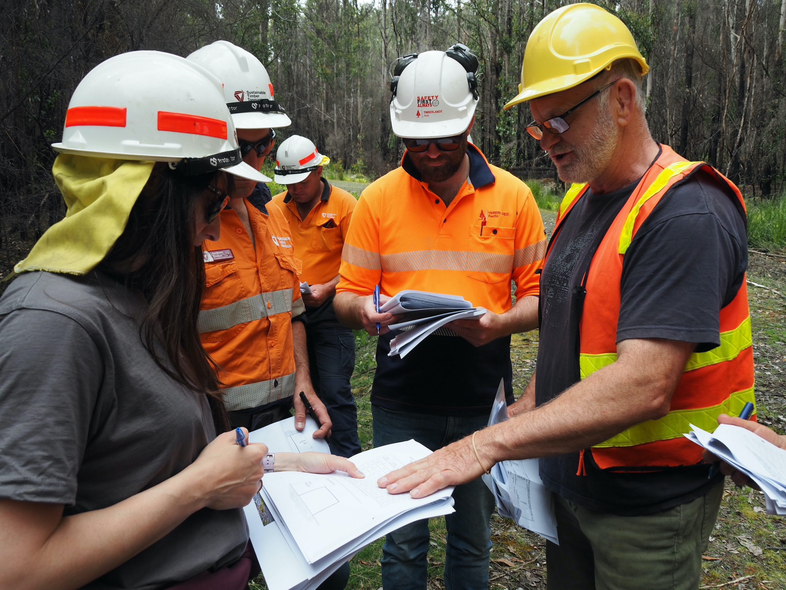 Foresting workers are training in the forest